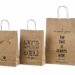 The Comprehensive Guide to Extra Large Paper Bags with Handles