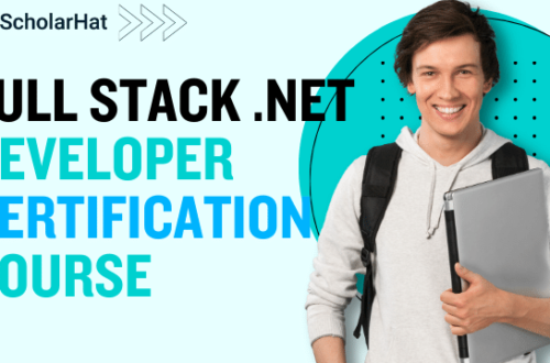 Full Stack .Net Developer