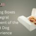 Hot Dog Boxes Integral Component of the Hot Dog Experience