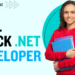 full stack .Net developer