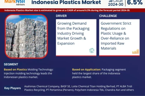 Indonesia Plastics Market