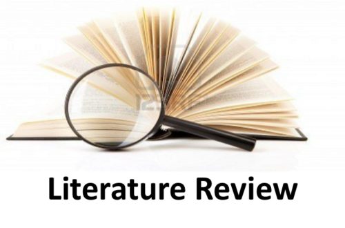 dissertation literature review help